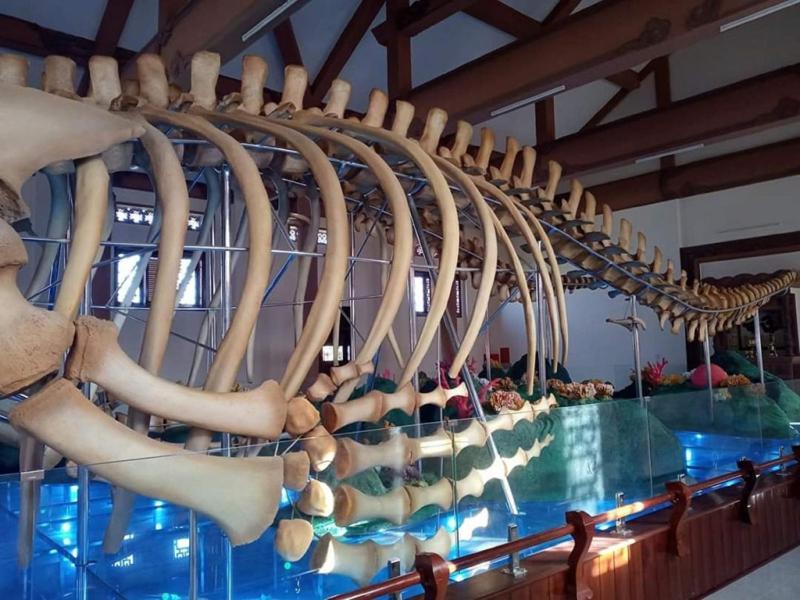 Phuc Hau Hotel - Ly Son Dış mekan fotoğraf